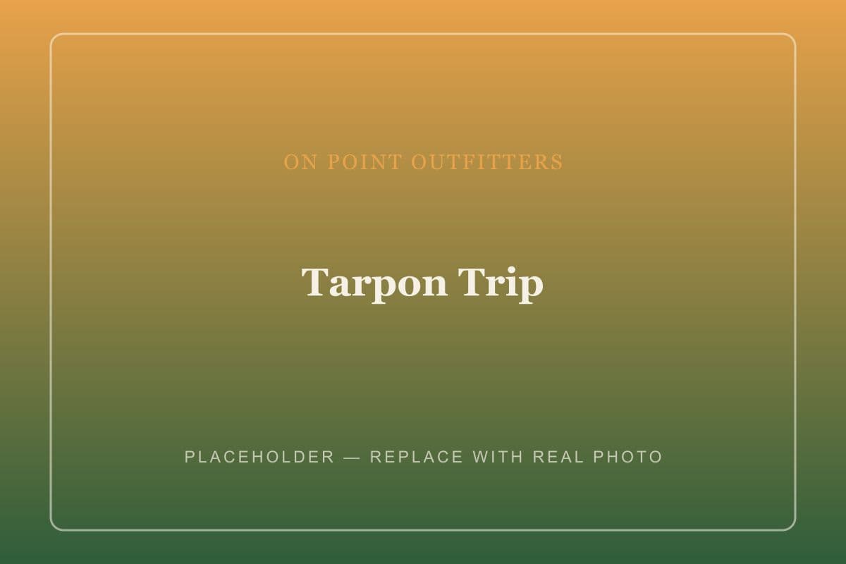 Tarpon Trip